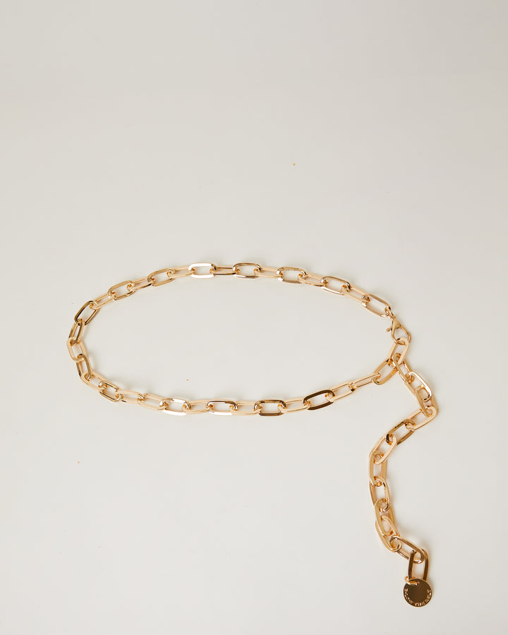 Gold Oversized Metal Chain